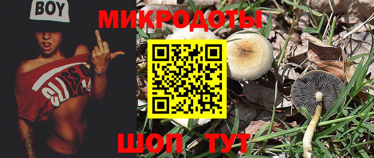 Псилоцибиновые грибы GOLDEN TEACHER  Вход с VPN  Изобильный 